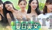 麻豆制媒app免费-麻豆制媒，解锁免费创意媒介新纪元