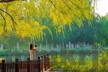 糖心vlog女主角lingxi-穿越虚拟与现实，探索糖心VLOG女主角Lingxi的多面魅力