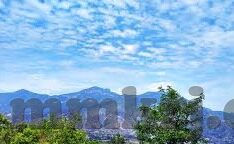 在线视频 麻豆-探索在线视频与麻豆的当代融合，从娱乐到教育的多元化路径
